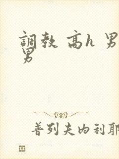 调教 高h 男男