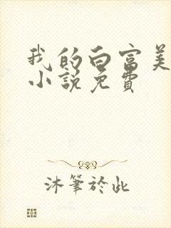 我的白富美老婆小说免费