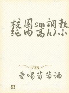 校园sm调教(纯肉高h)小说封面