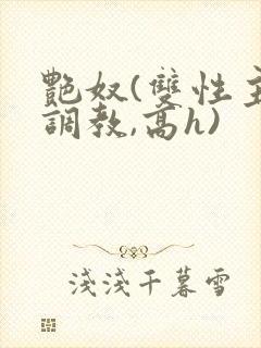 艳奴(双性主奴调教,高h)