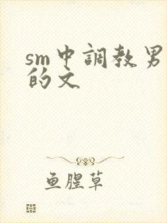 sm中调教男m的文