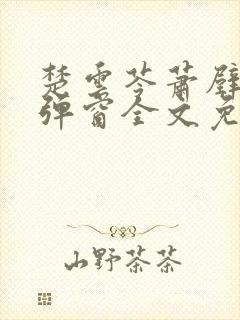 楚云苓萧壁城无弹窗全文免费阅读封面