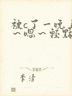 被c了一晚上啊～嗯～轻点h小说封面