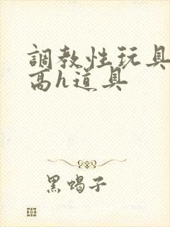 调教性玩具np高h道具