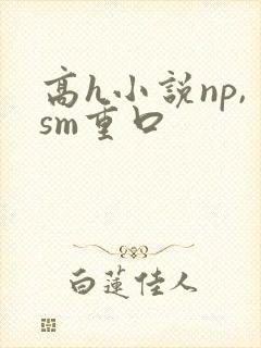 高h小说np,sm重口封面