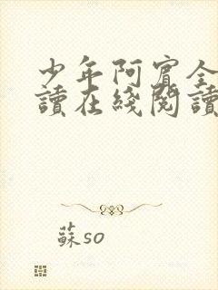 少年阿宾全文阅读在线阅读全文封面