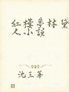 红楼梦林黛玉同人小说封面