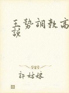 玉势调教高h小说