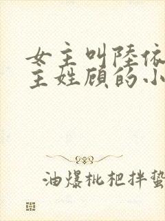 女主叫陆依依男主姓顾的小说