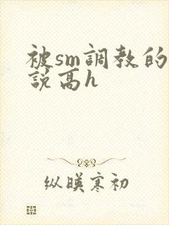 被sm调教的小说高h