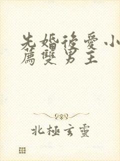 先婚后爱小说推荐双男主