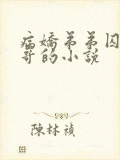 病娇弟弟囚禁哥哥的小说