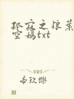 孤寂之狼叶凡司空嫣txt