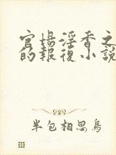 官场淫香之娇妻的报复小说下载