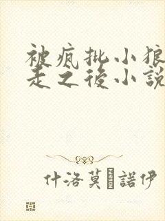 被疯批小狼王抢走之后小说