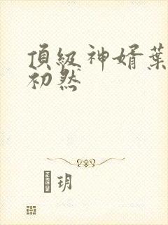 顶级神婿叶辰萧初然