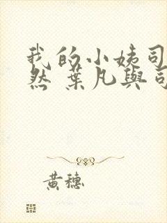 我的小姨司空嫣然 叶凡与司空嫣然章节