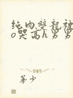 纯肉双龙被cao哭高h男男视频