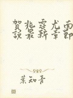 贺兆霆尤南初小说最新章节阅读地址