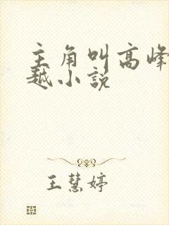 主角叫高峰的穿越小说