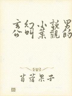 玄幻小说男主人公叫叶观的小说封面