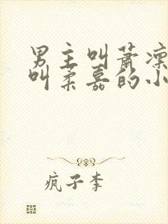 男主叫萧凛女主叫柔嘉的小说封面