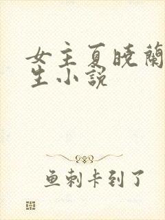 女主夏晓兰的重生小说封面