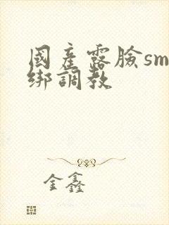 国产露脸sm捆绑调教