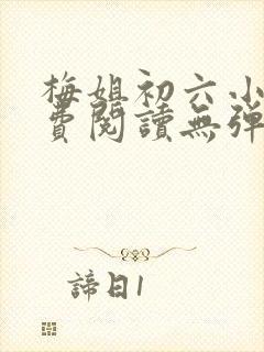 梅姐初六小说免费阅读无弹窗