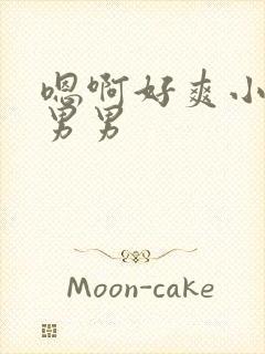 嗯啊好爽小骚货男男