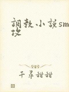 调教小说sm女攻