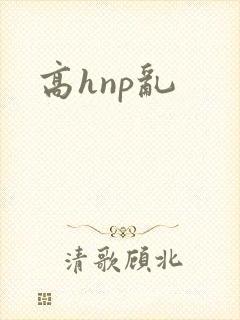 高hnp乱封面