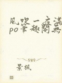 风吹一夜满关山po笔趣阁无弹窗