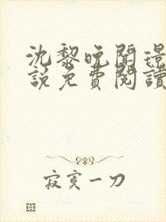 沈黎晚闻璟川小说免费阅读最新章节封面