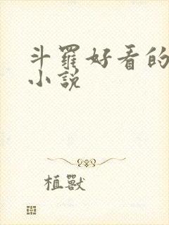 斗罗好看的同人小说