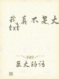 我真不是大佬 txt