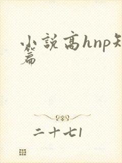 小说高hnp短篇