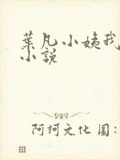 叶凡小姨我要 小说