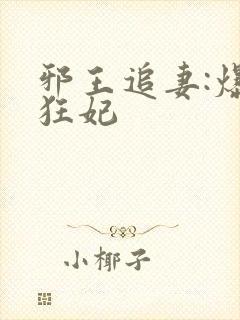 邪王追妻:爆宠狂妃封面