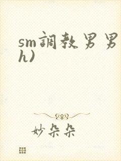 sm调教男男(h)
