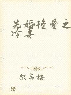 先婚后爱之闪婚冷妻