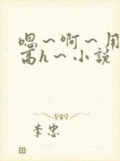 嗯～啊～用力～高h～小说