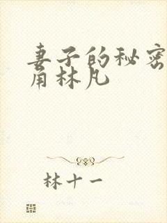 妻子的秘密,主角林凡