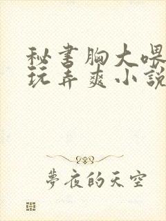 秘书胸大喂奶h玩弄爽小说封面