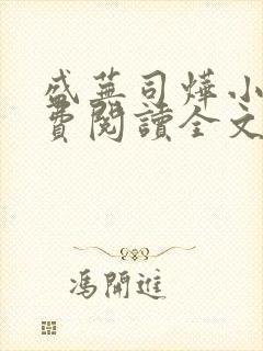 盛芜司烨小说免费阅读全文无弹窗