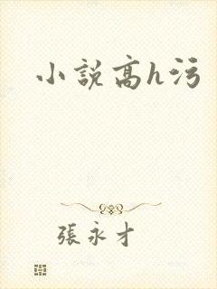 小说高h污