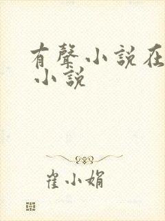 有声小说在线听 小说