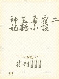 神王毒宠二嫁王妃听小说