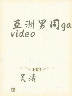 亚洲男同gayvideo