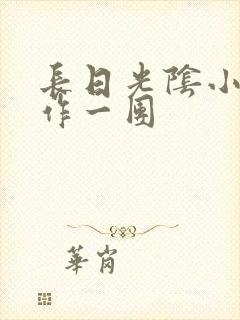 长日光阴小说乱作一团